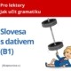 Jak učit slovesa s dativem v češtině pro cizince