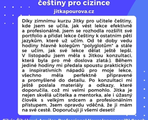 Čeština pro cizince - konzultace pro lektory