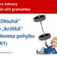 Jak učit dlouhá a krátká slovesa pohybu - úroveň A1