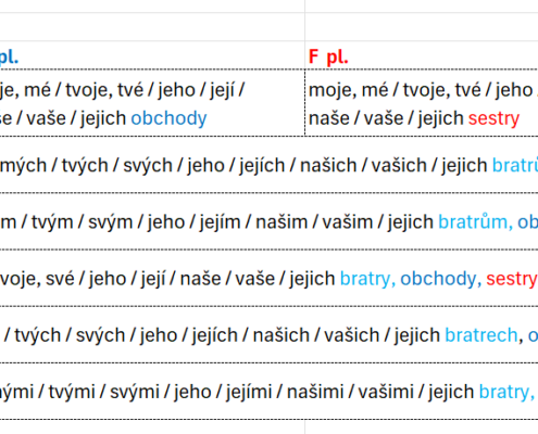 Posesivní zájmena_deklinace pl_tabulka
