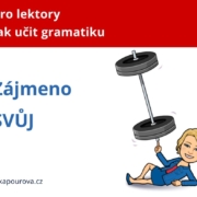 Zájmeno svůj