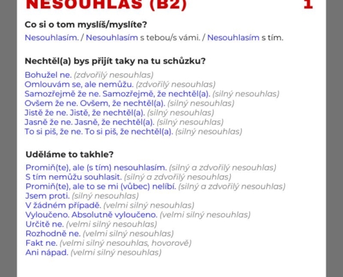 Nesouhlas čeština pro cizince