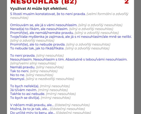 Nesouhlas čeština pro cizince