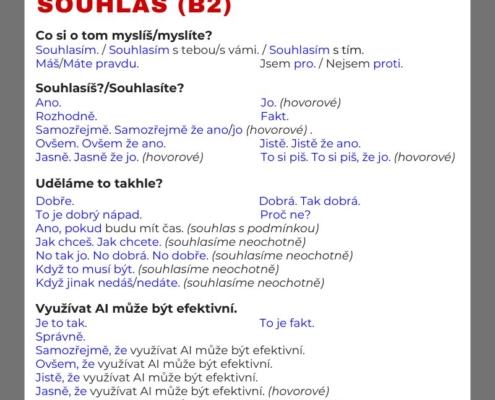 Souhlas čeština pro cizince